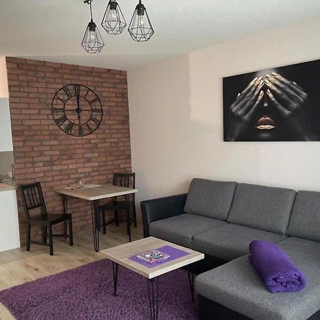 Apartamenty Bartnicza C Bielsko-Biala Exterior foto