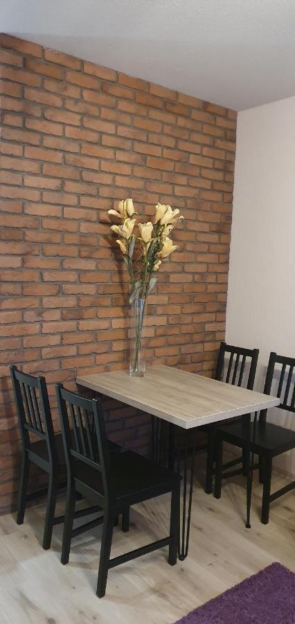 Apartamenty Bartnicza C Bielsko-Biala Exterior foto