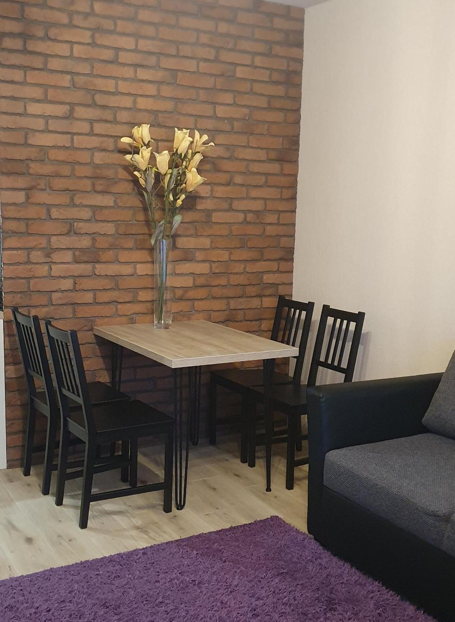 Apartamenty Bartnicza C Bielsko-Biala Exterior foto