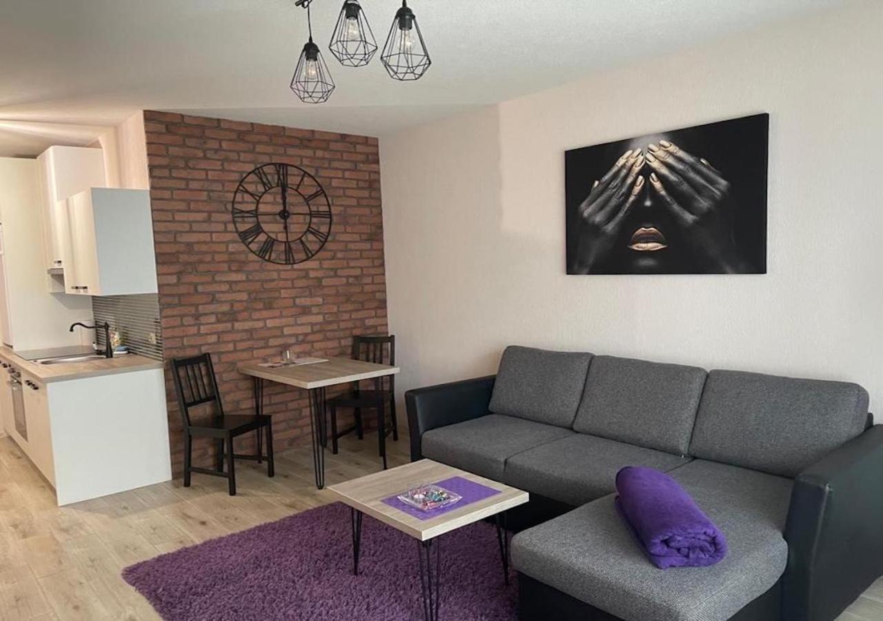 Apartamenty Bartnicza C Bielsko-Biala Exterior foto